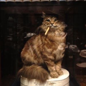 Meet your Posher, Charity